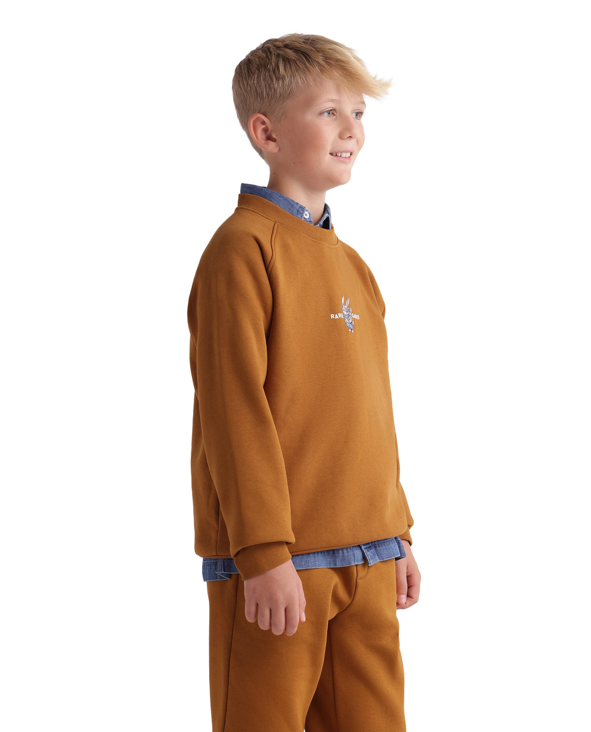 Rare Ones Kids Consi Mustard Cotton Blend Fabric Crew Neck Pull-On Closure Regular Fit Digital Print Sweatshirt