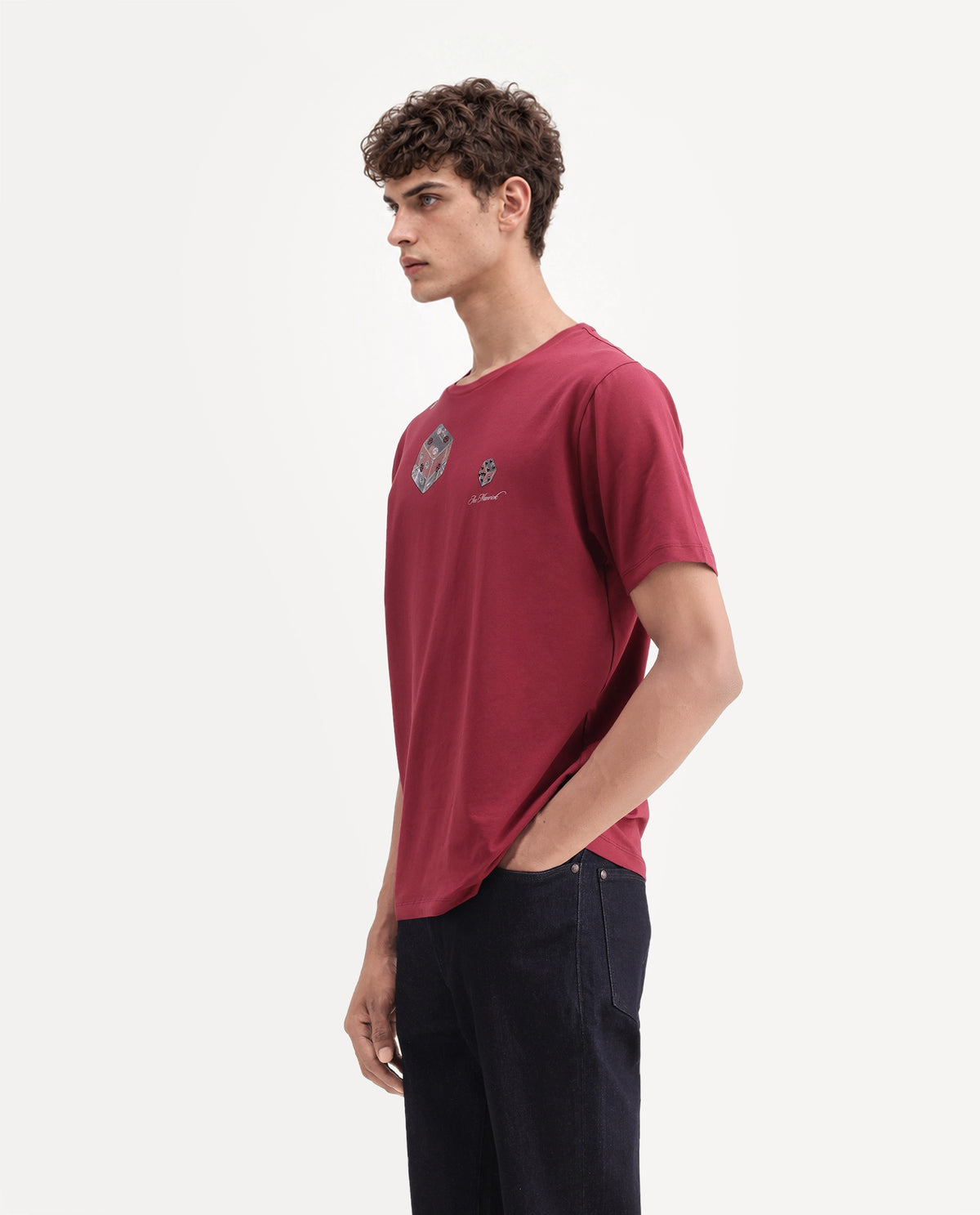 Rare Rabbit Men's Cote Dark Maroon Cotton Blend Crew Neck Regular Graphic Print T-Shirt