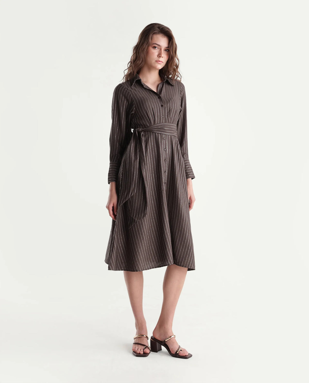 Rareism Women's Qeen Brown Viscose Blend Spread Collar A-Line Striped Dress