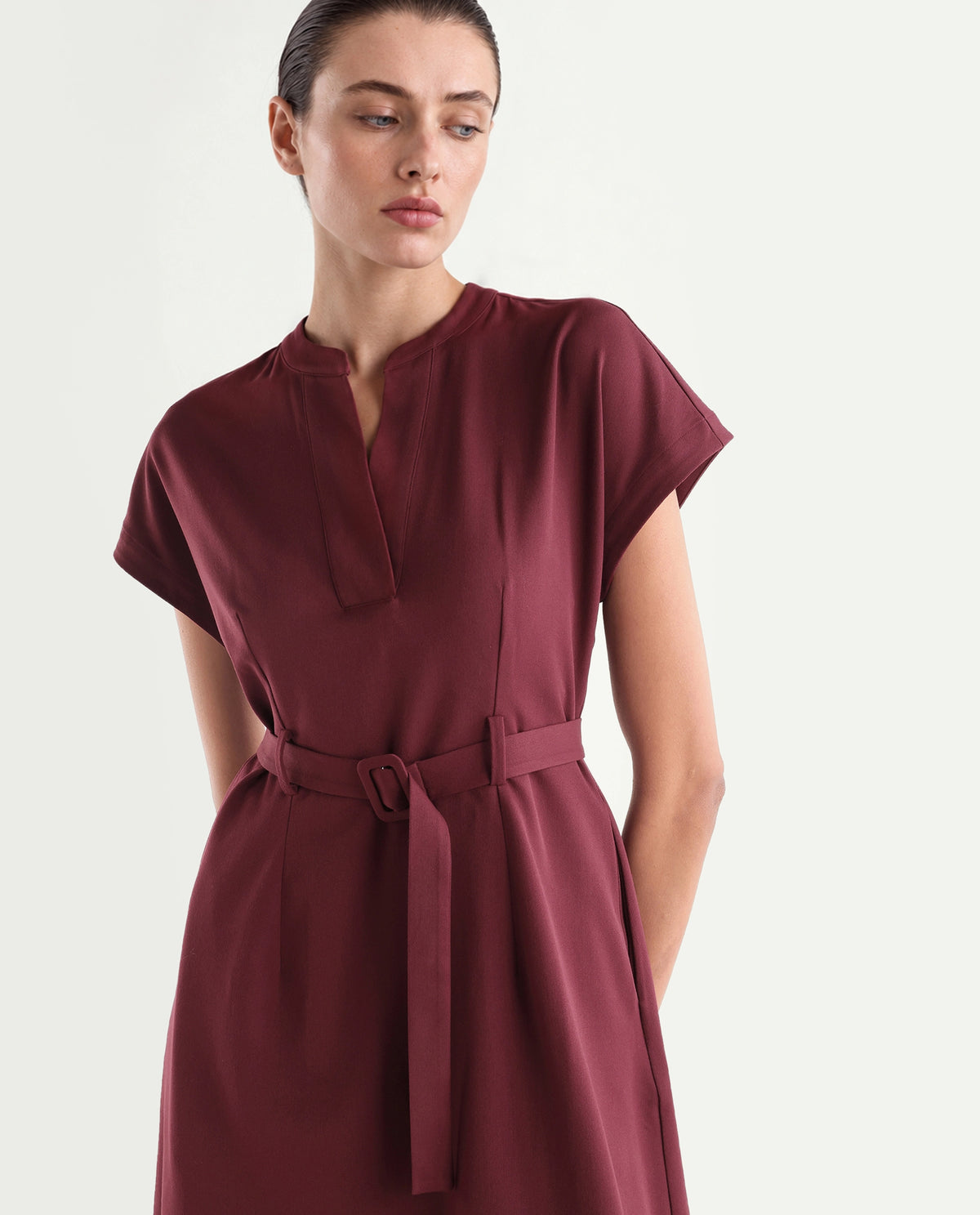 Rareism Women's Wory Dark Red Polyester Blend Mandarin Collar A-Line Plain Dress