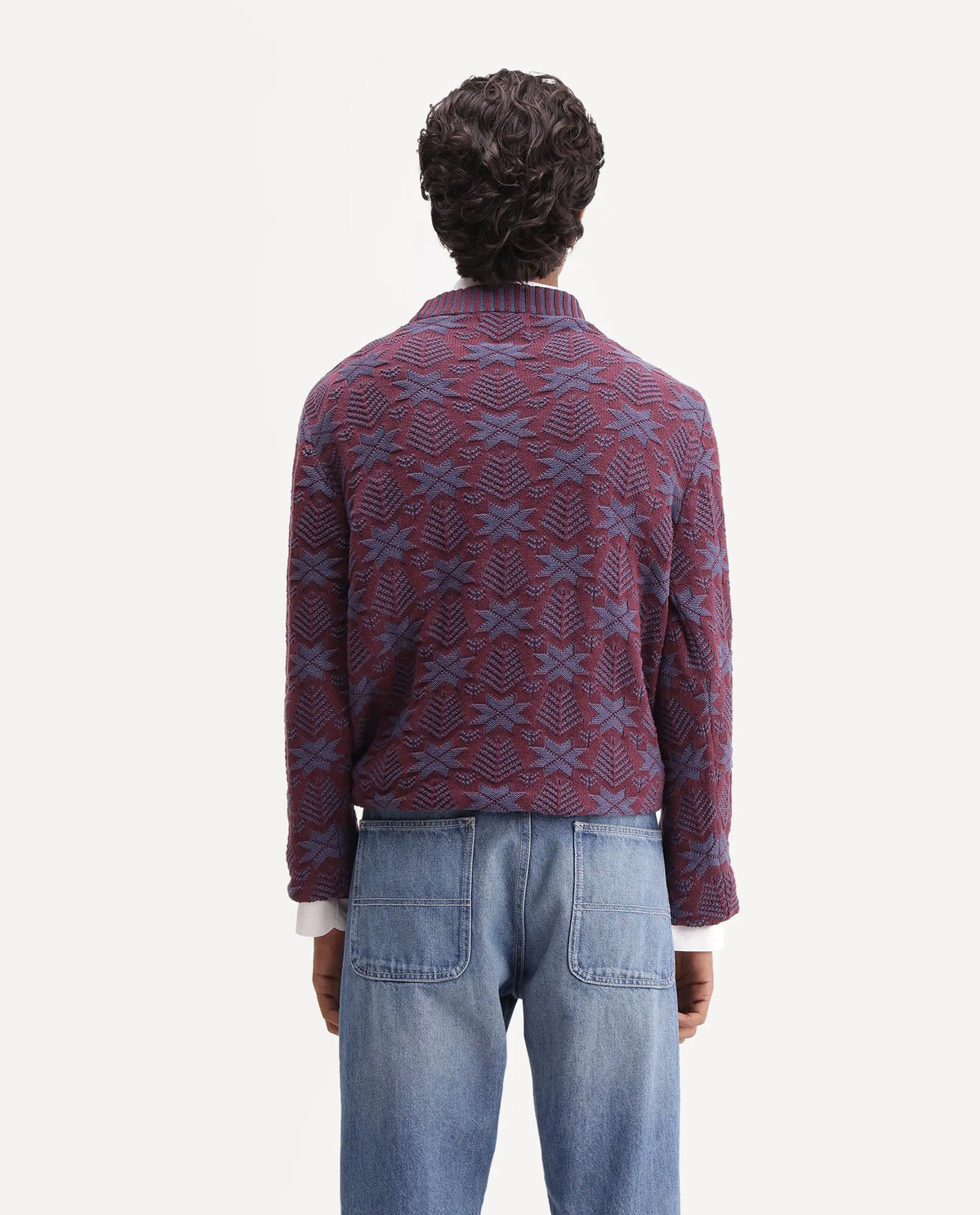 Rare Rabbit Men Plom Dark Purple Cotton Crew Neck Regular Jacquard Sweater