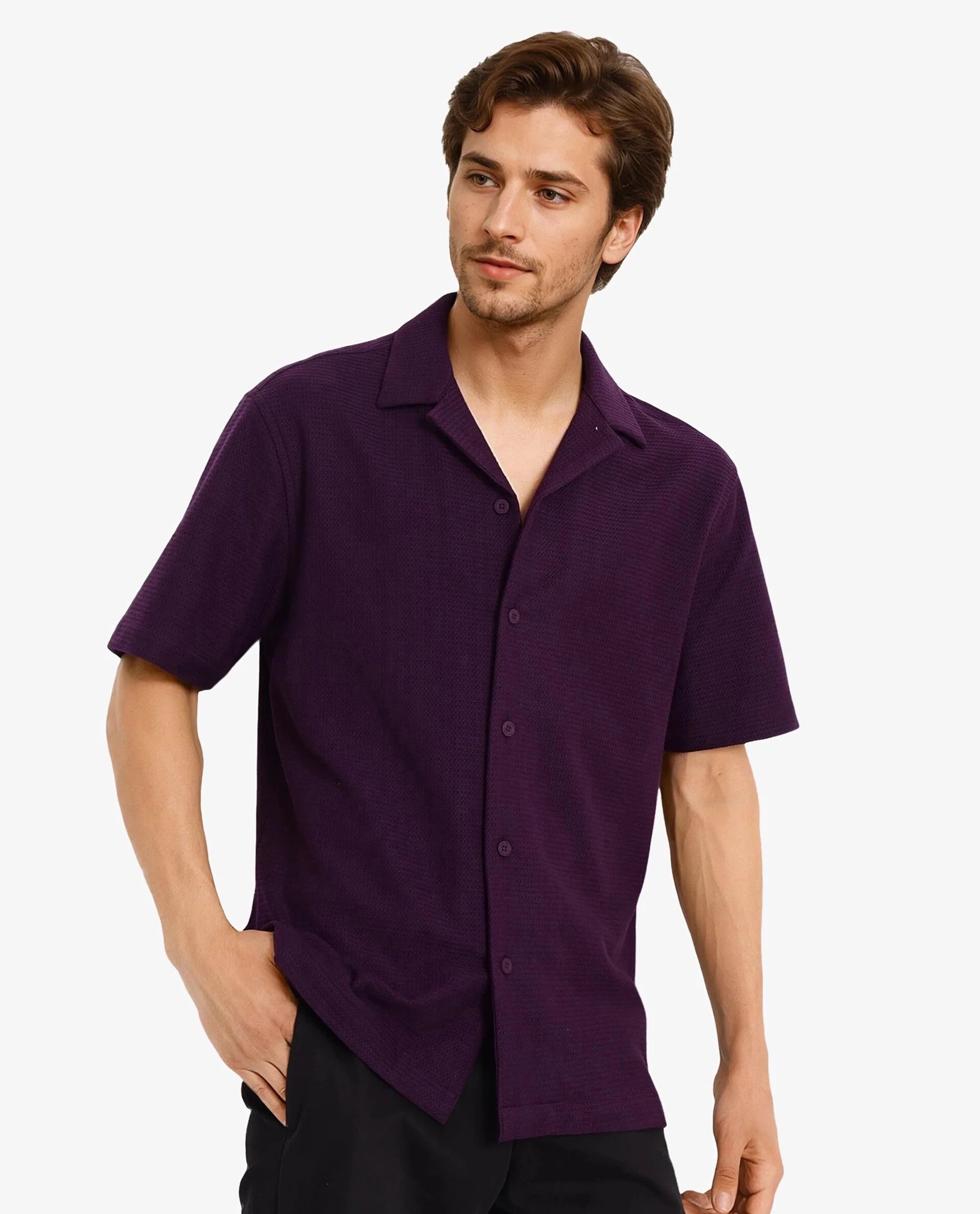 Rare Rabbit Men Site Ss Dark Purple Short Sleeve Collared Neck Button Closure Regular Fit Plain Shirt
