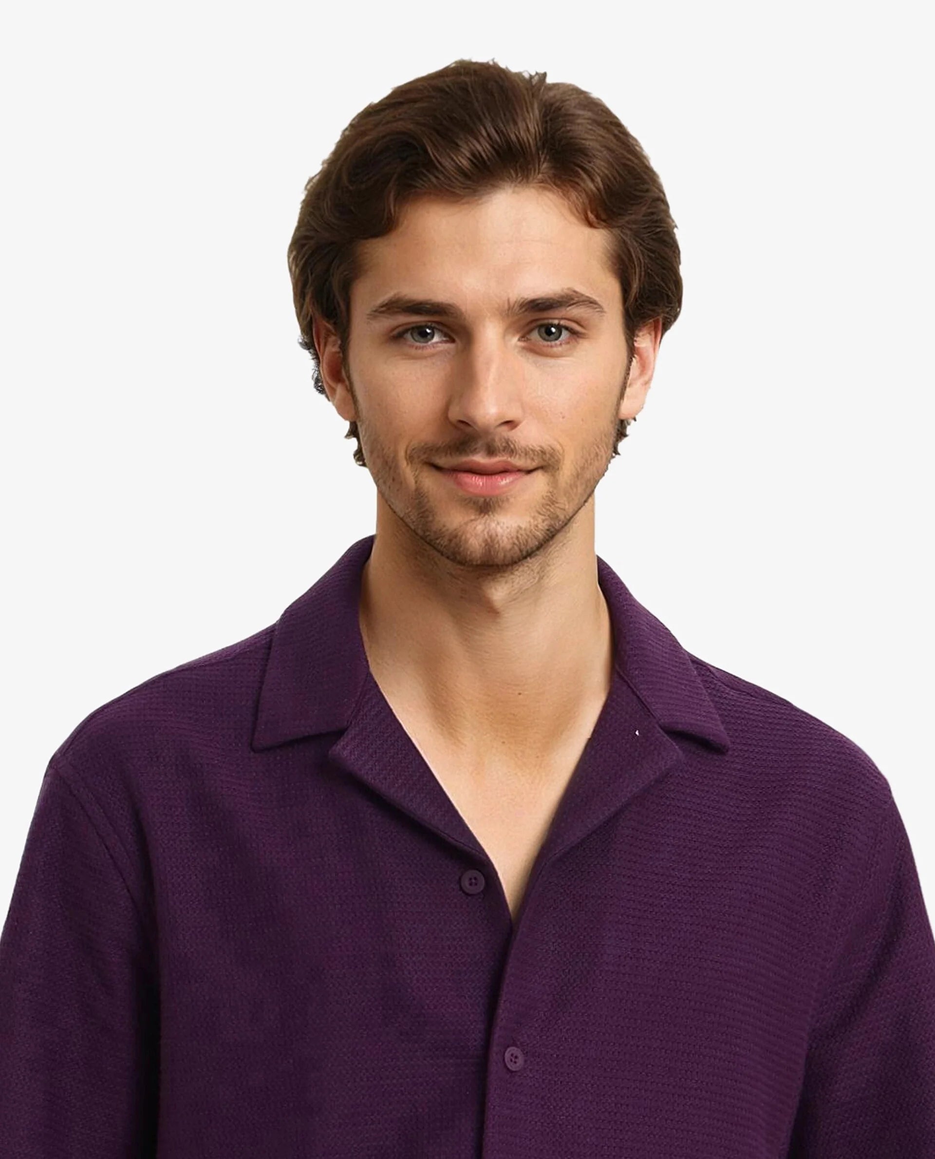 Rare Rabbit Men Site Ss Dark Purple Short Sleeve Collared Neck Button Closure Regular Fit Plain Shirt