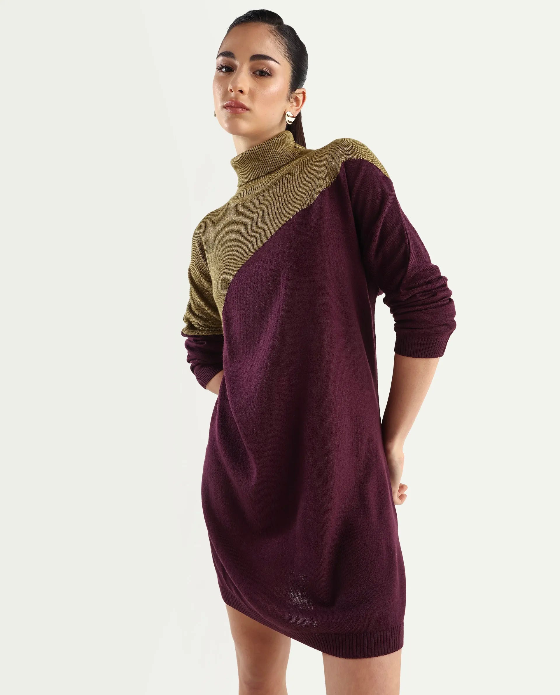 Rareism Women's Spaton Maroon Knit Turtle Neck Plain Knee Length Straight Fit Sweater