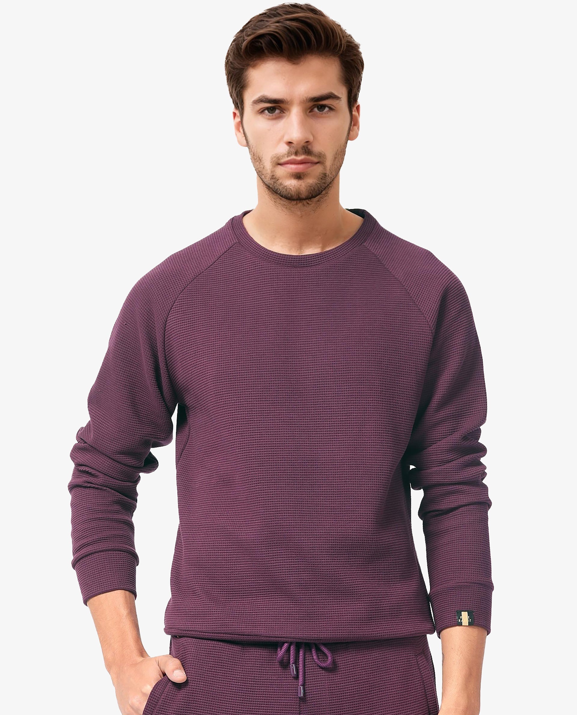Rare Rabbit Mens Sven Purple Sweatshirt Cotton Polyester Fabric Round Neck Knitted Full Sleeves Comfortable Fit