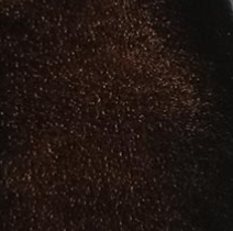 dark-mustard