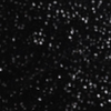 sheen-black