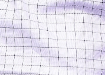 light-purple