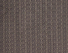 light-brown