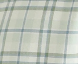 pastel-green
