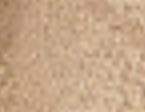 light-brown