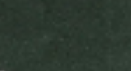 light-olive
