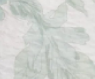 pastel-green