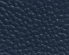 royal-blue