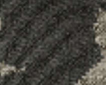 dark-olive
