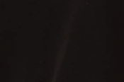 dark-brown