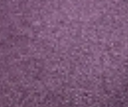 dark-purple