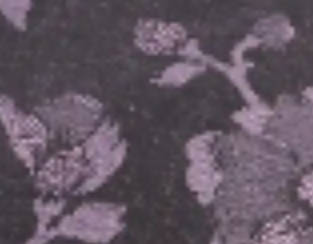 dark-purple