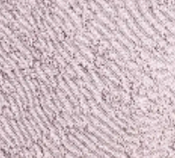 dusky-purple