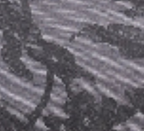 dark-grey