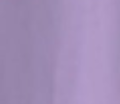 light-purple