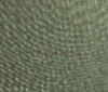 dark-green