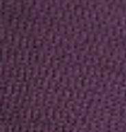 dark-purple