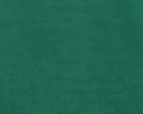 dark-green