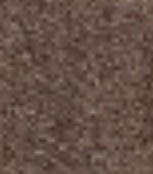 dusky-brown