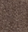 dusky-brown