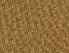 dark-mustard