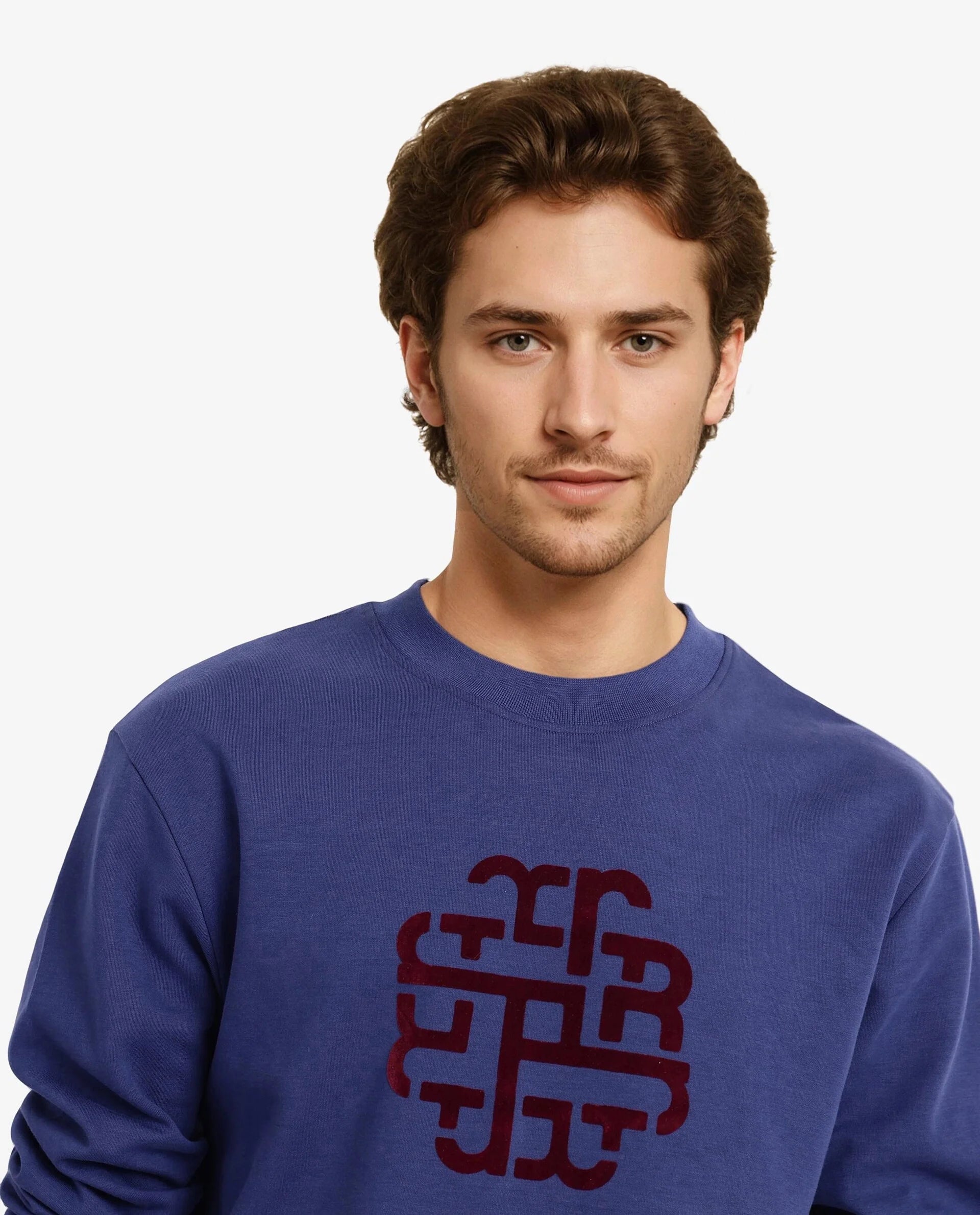 Rare Rabbit Men Toxon Navy Cotton Polyester Fabric Full Sleeve Crew Neck Regular Fit Flock Graphic Print Sweatshirt