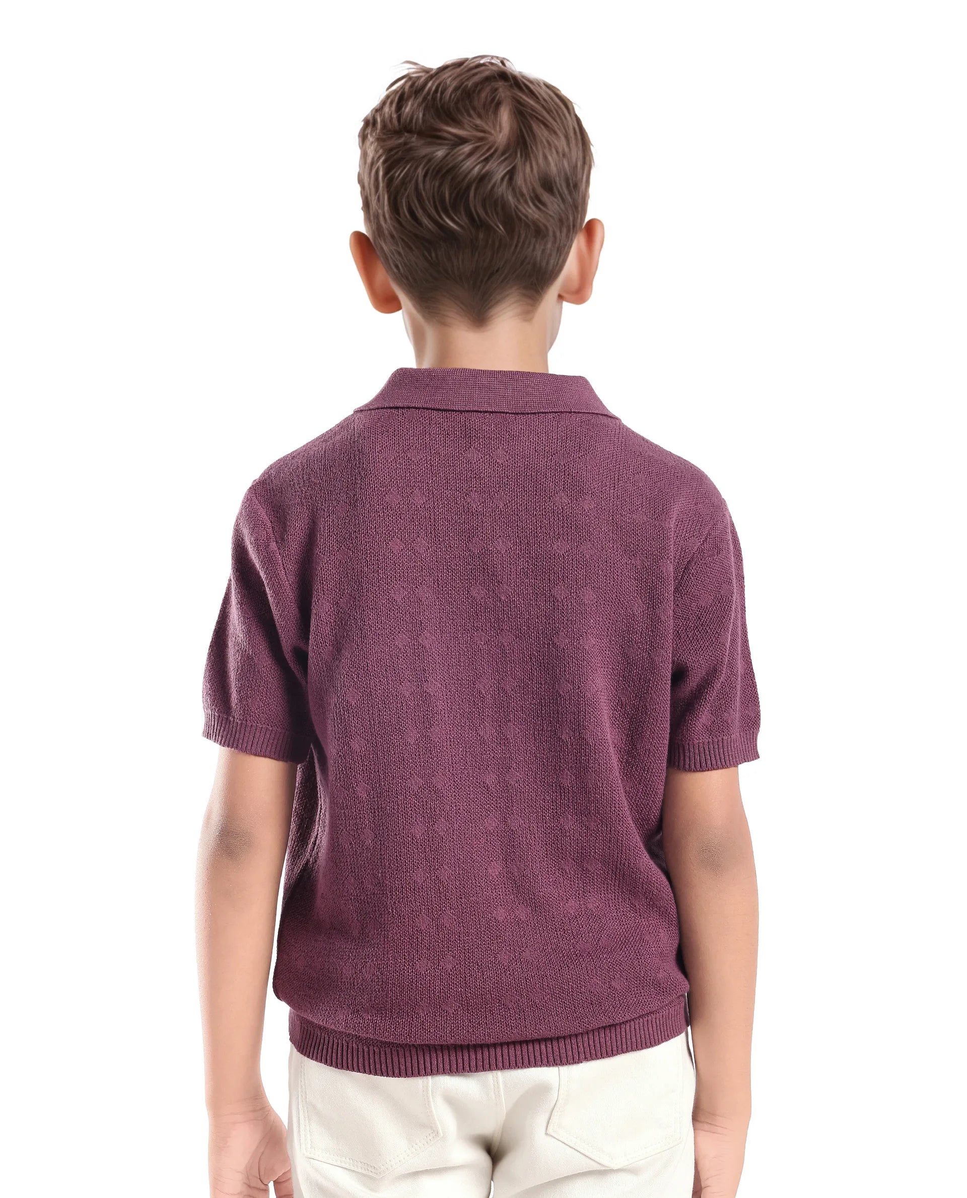 Rare Ones Kids Treo Dusky Purple Jacquard Zipper Closure Regular Fit Polo