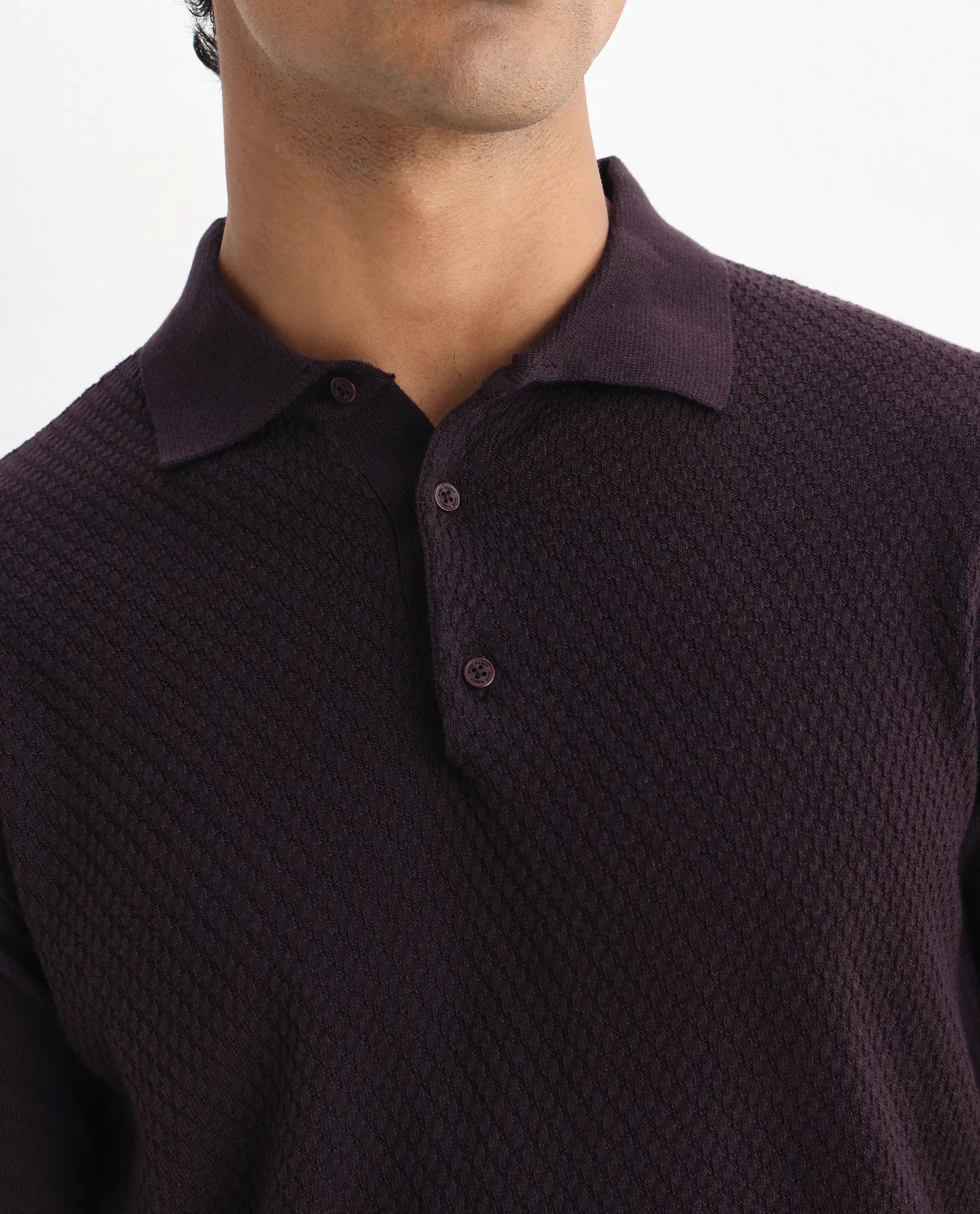 Rare Rabbit Men's Xas Dark Brown Cotton Plain Regular Fit Half Sleeve Polo