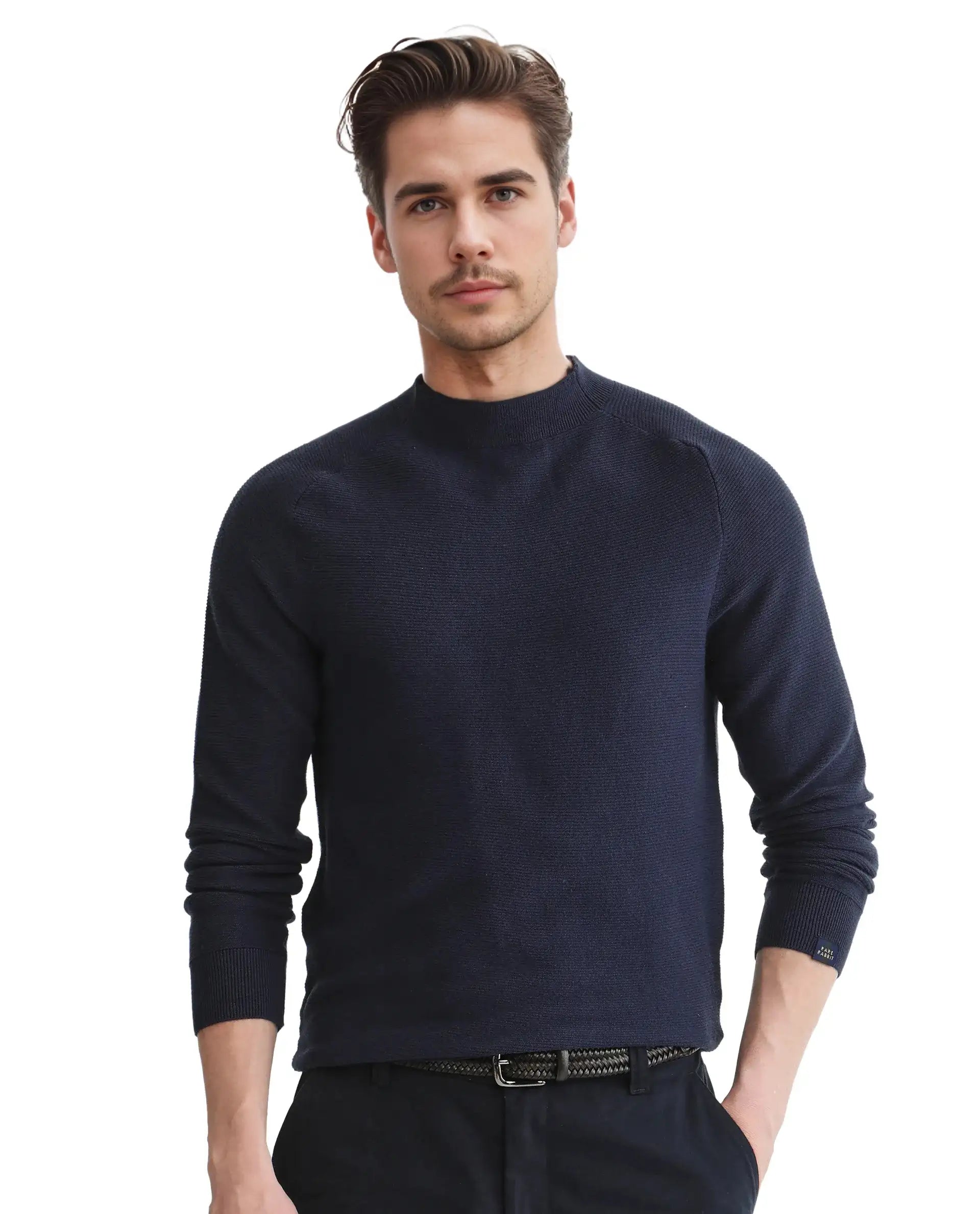 Rare Rabbit Men's Viscose Blend Plain Regular Fit Full Sleeve High Neck Sweater