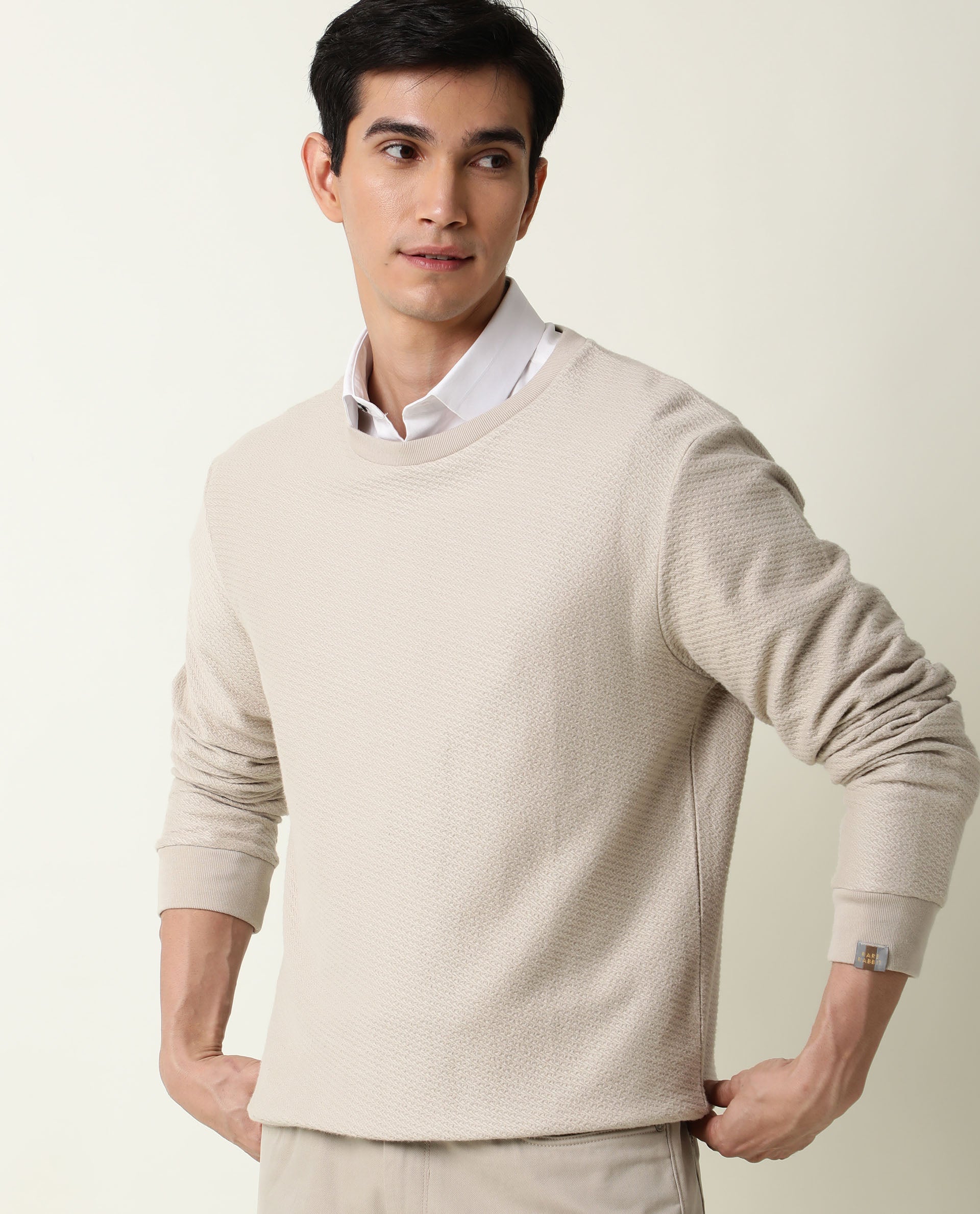 Rare Rabbit Men's Earl Beige Cotton Plain Slim Fit Full Sleeve Crew Ne