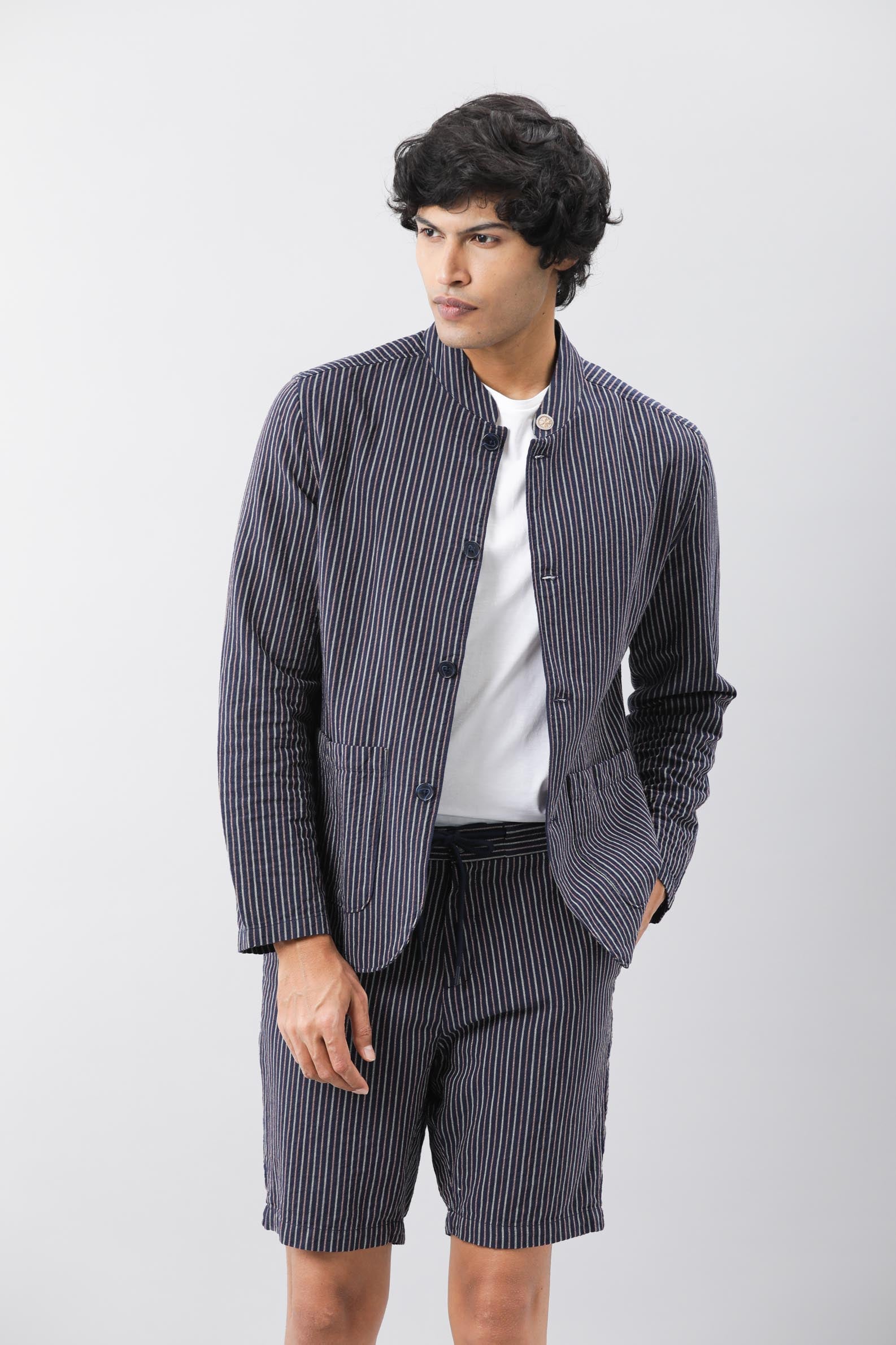 Rare Rabbit Men's Gazel Navy Viscose Polyester Fabric Mandarin Collar Slim Fit Stripe Blazer