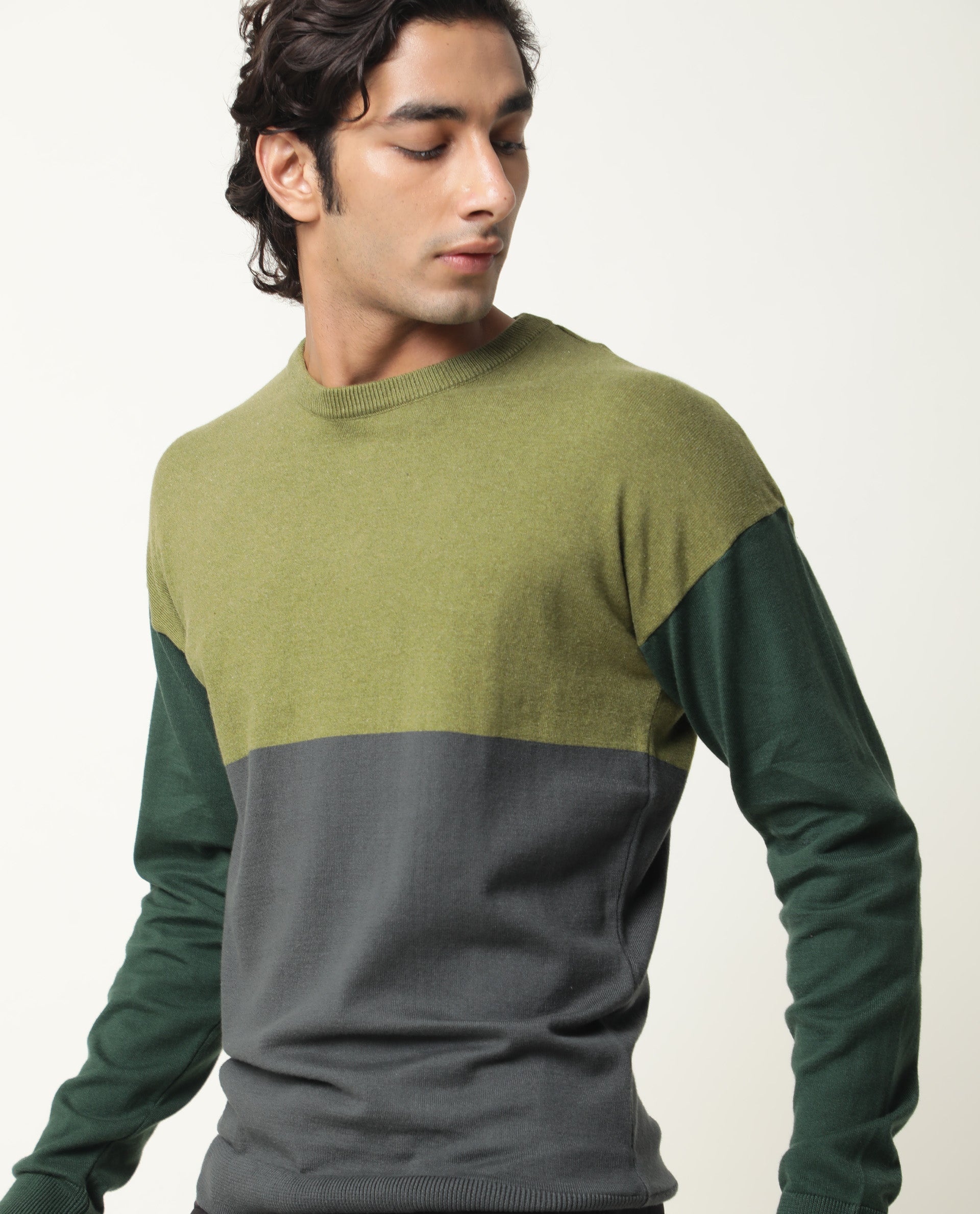 Rare Rabbit Tanko Primary Green Sweater Cotton Fabric Full Sleeve Round Neck Slim Fit