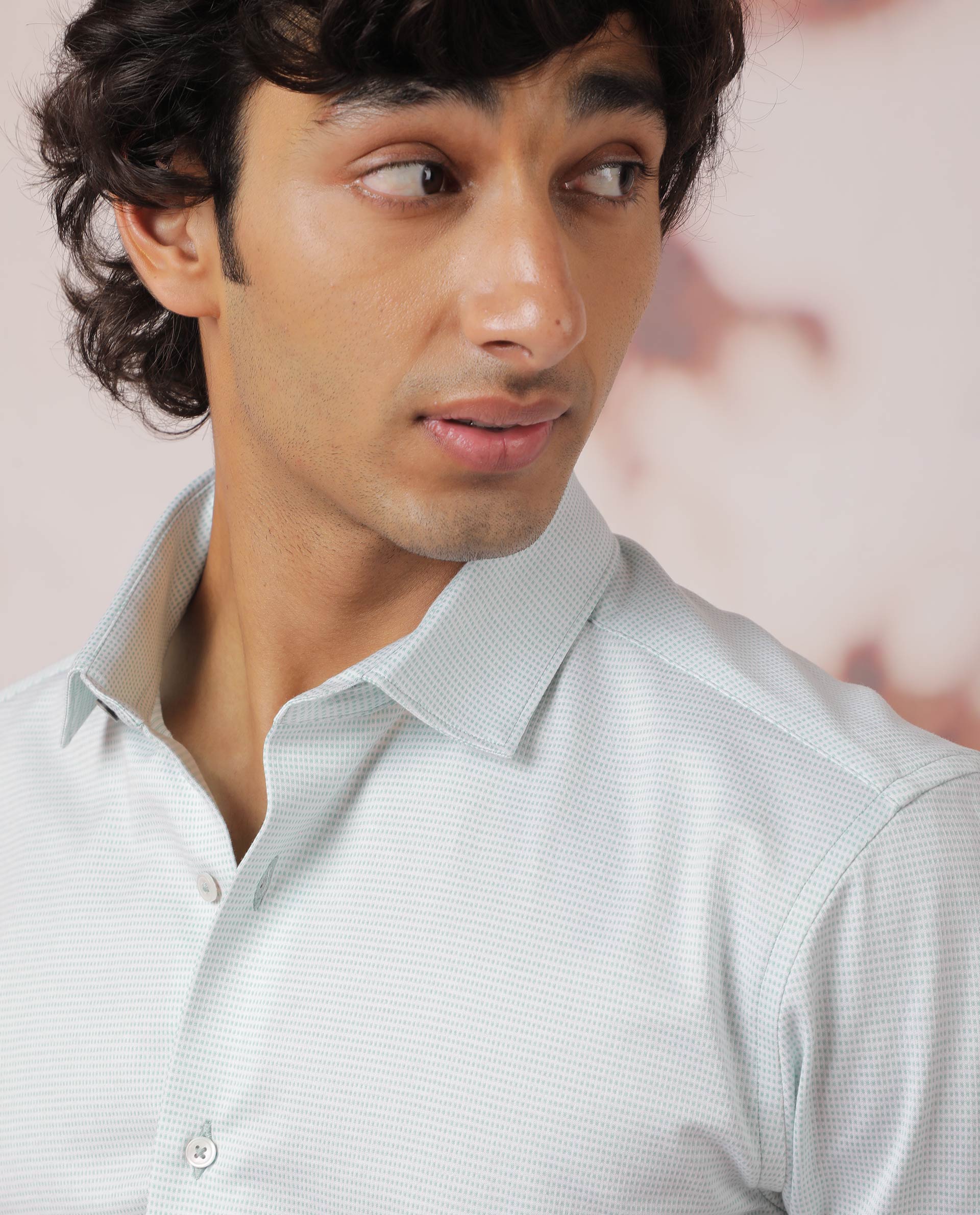 Rare Rabbit Men's Fay Pastel Green Cotton Fabric Full Sleeves Micro Checks Shirt