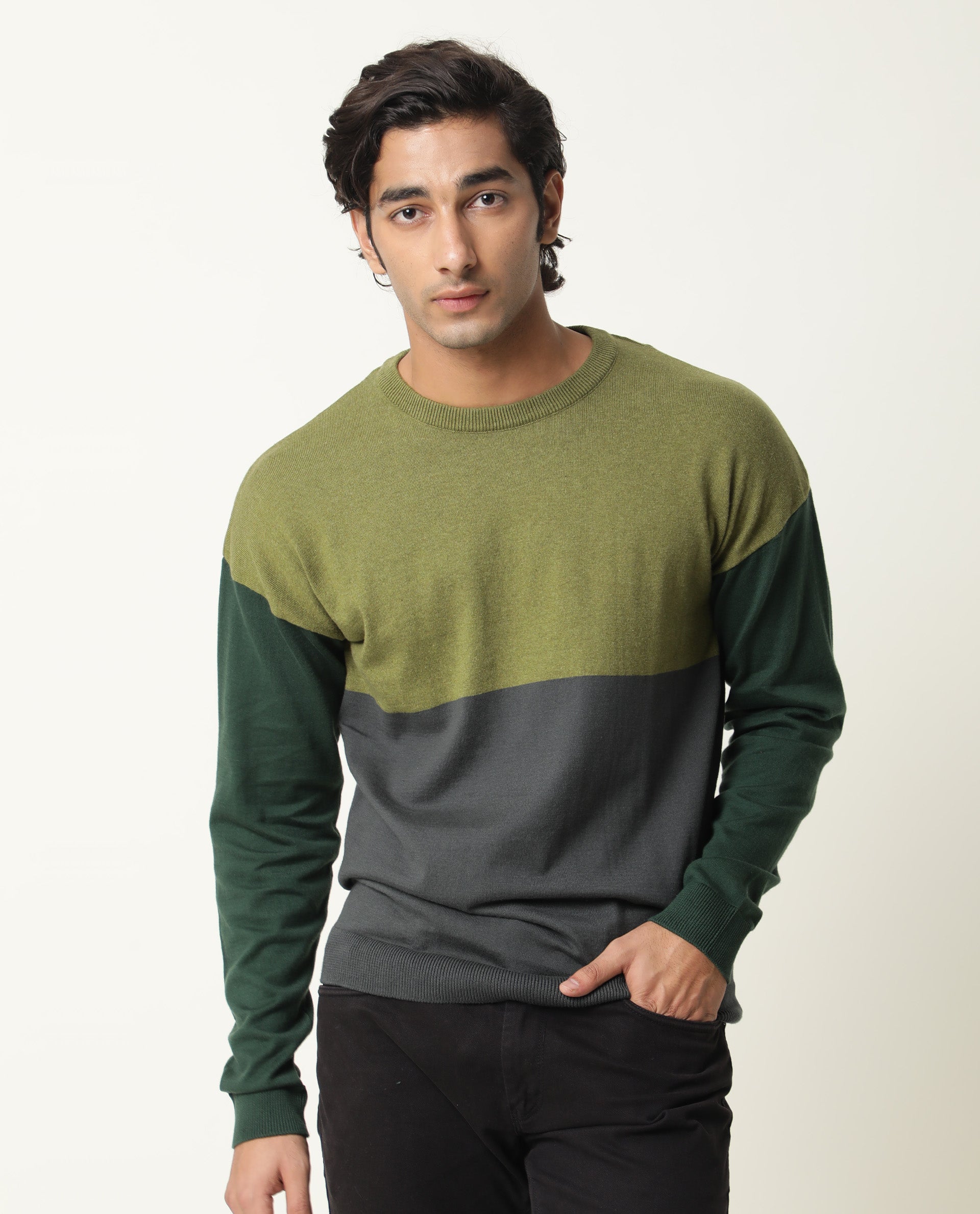 Rare Rabbit Tanko Primary Green Sweater Cotton Fabric Full Sleeve Round Neck Slim Fit