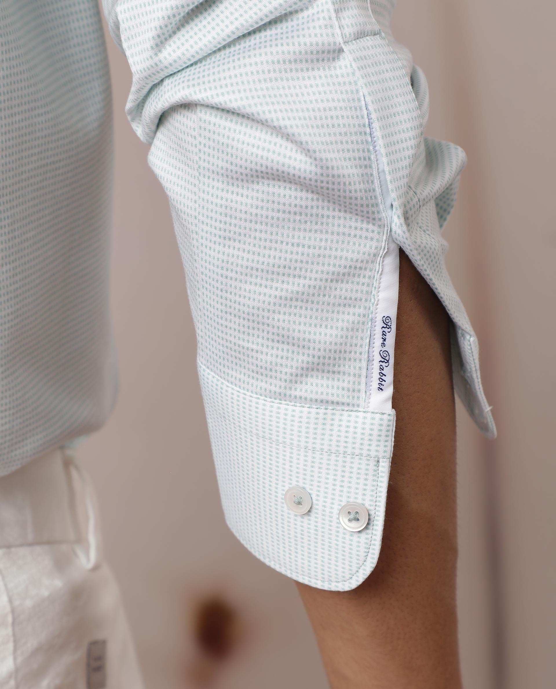 Rare Rabbit Men's Fay Pastel Green Cotton Fabric Full Sleeves Micro Checks Shirt