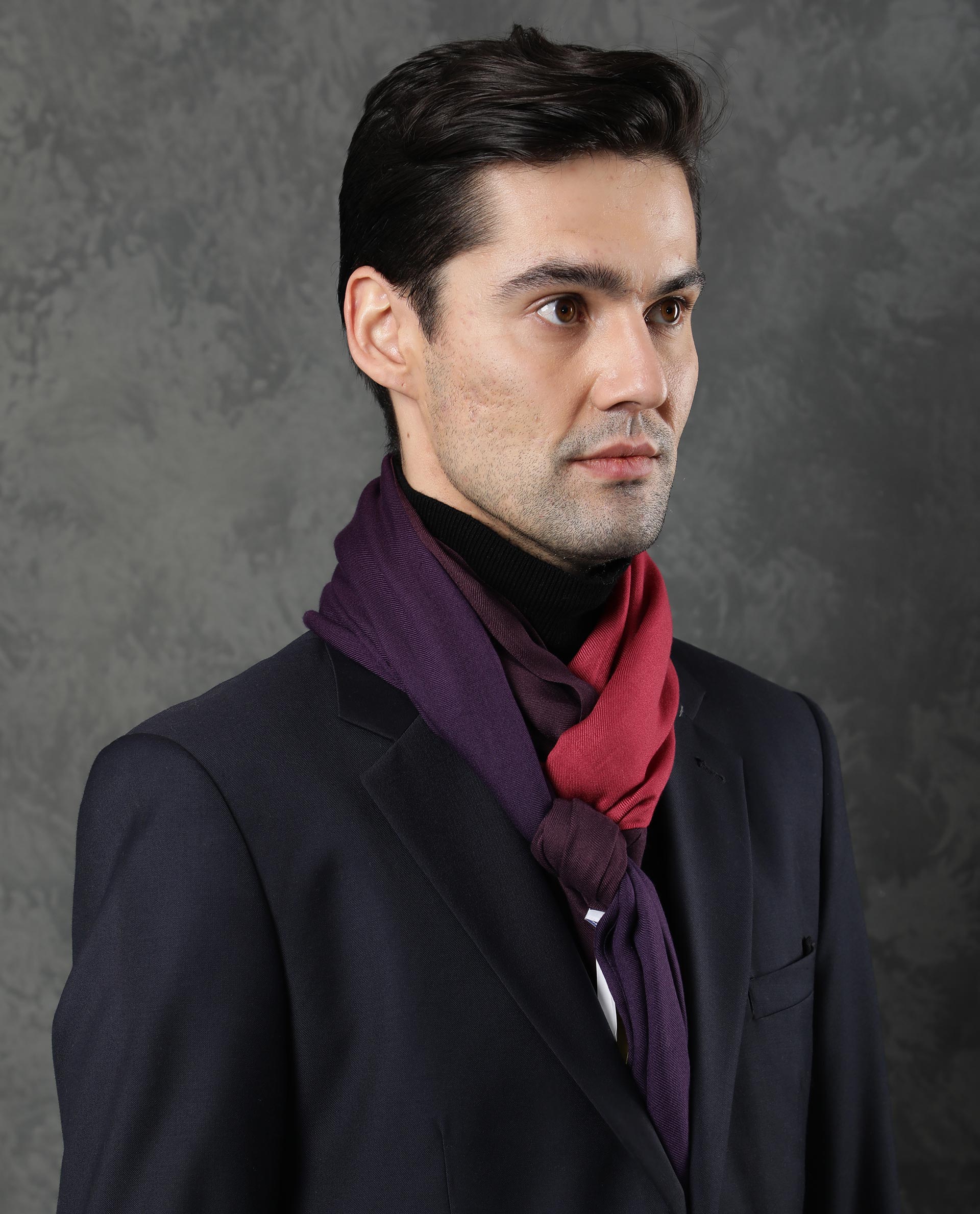 Rare Rabbit Men's Breom Purple Ombre Scarf