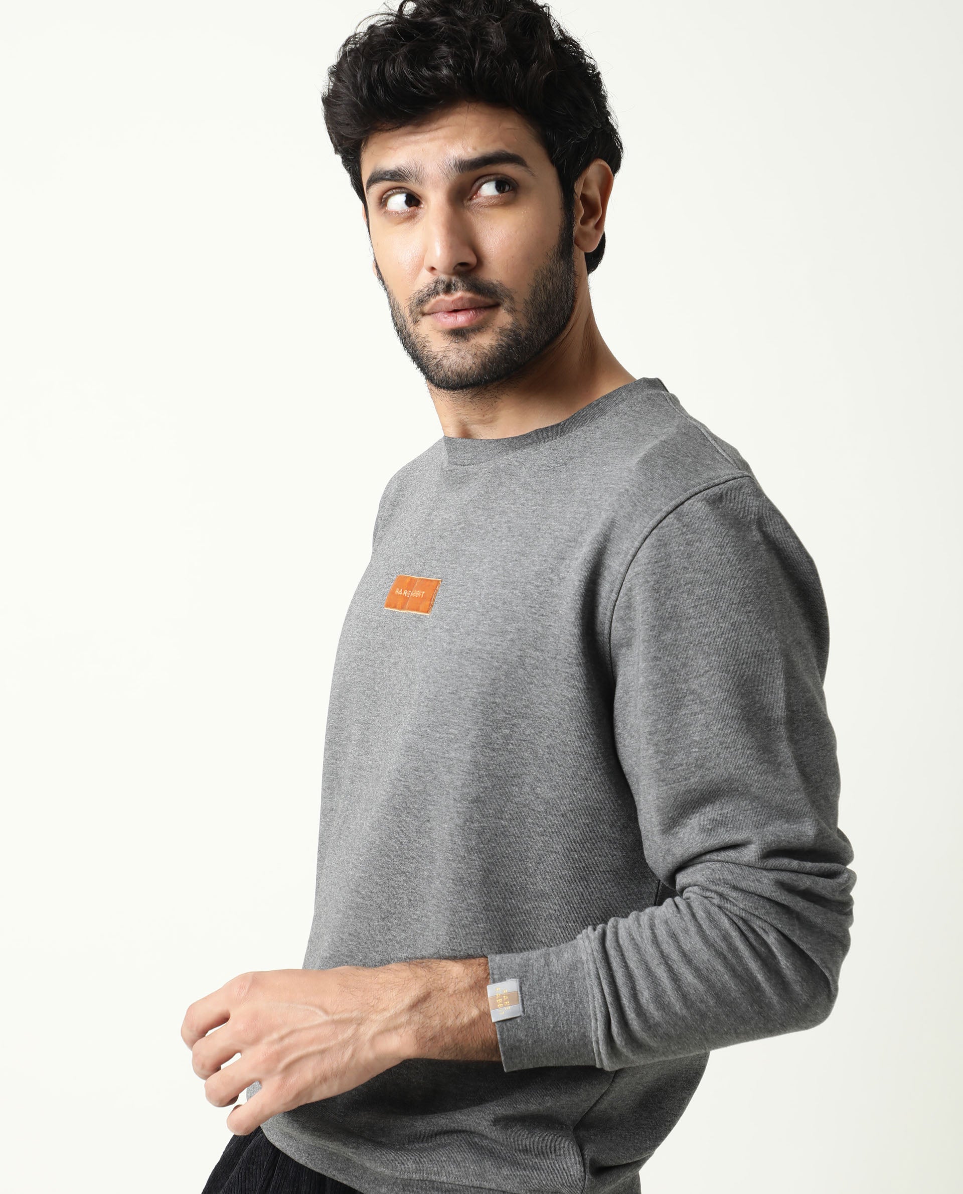 Rare Rabbit Men's Velveto Grey Cotton Polyester Fabric Full Sleeves Velvet Branding Knit Sweatshirt