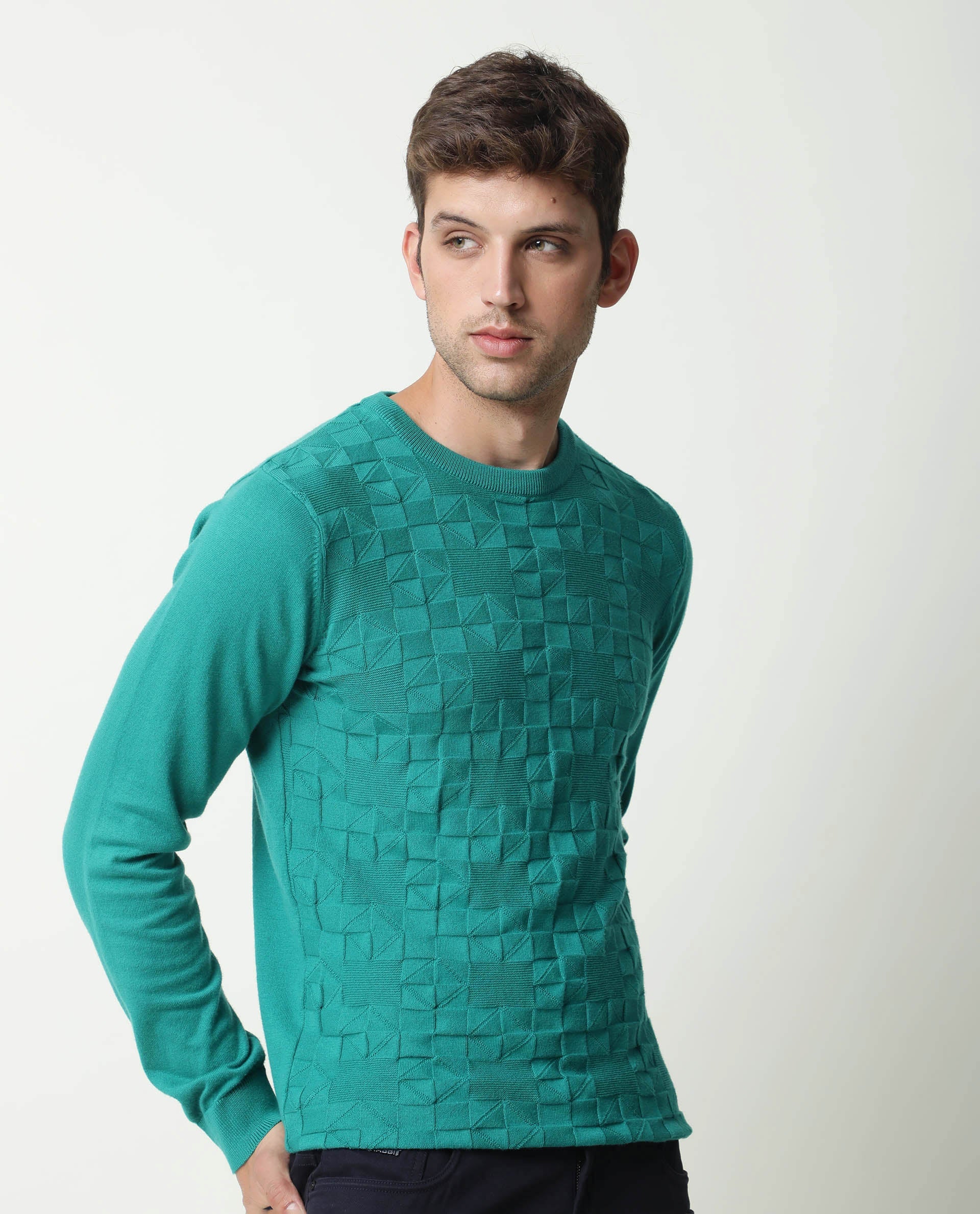 Rare Rabbit Russ Primary Green Pullover Cotton Fabric Full Sleeve Round Neck Slim Fit