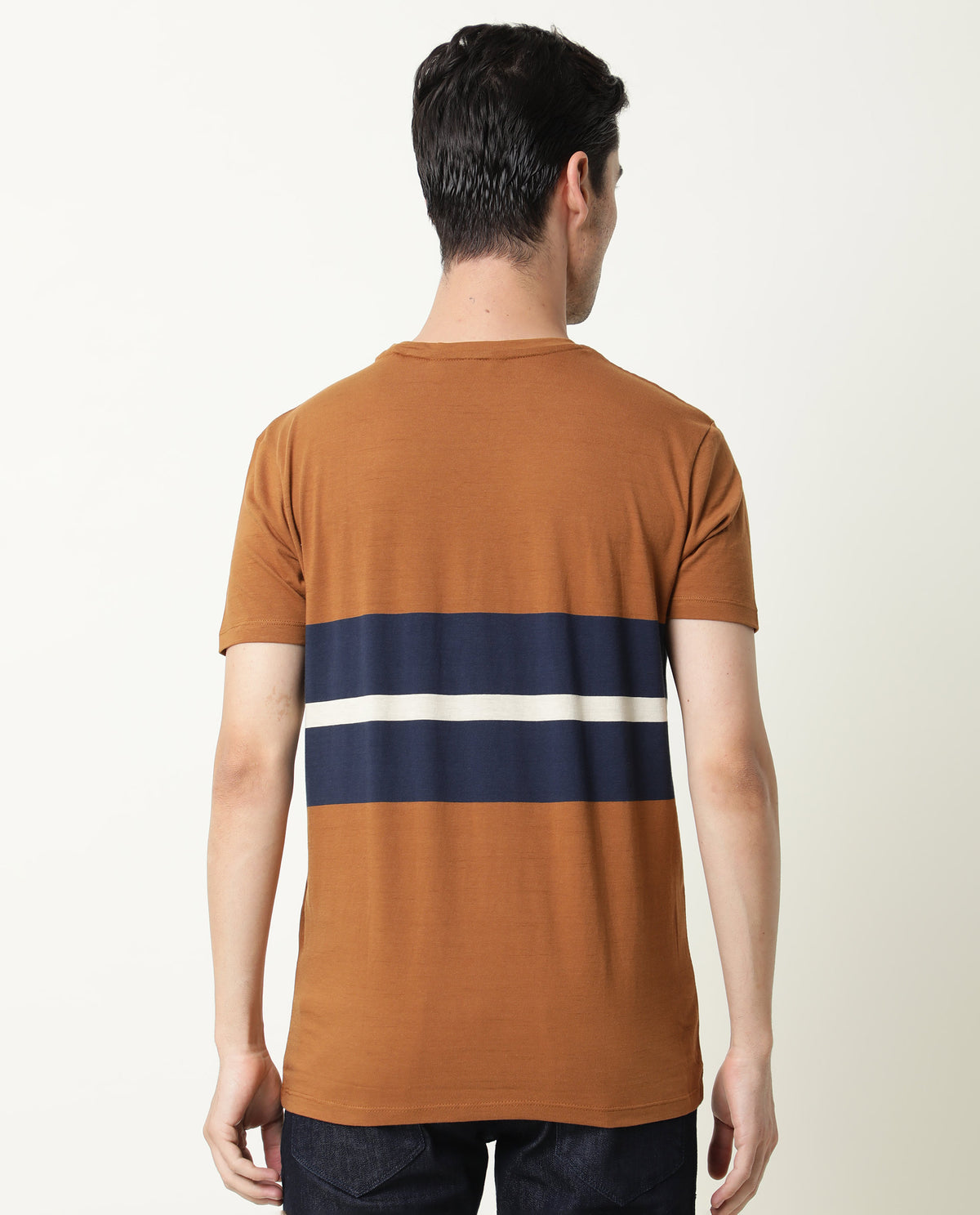 Rare Rabbit Pire Brown Crew Neck Striped Half Sleeves Regular Fit T-Shirt