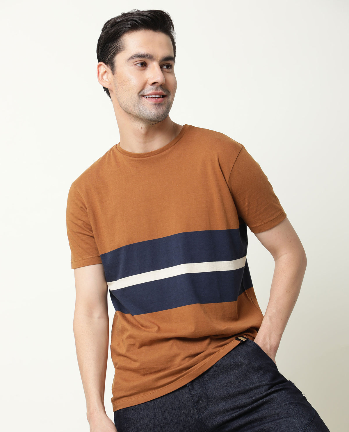 Rare Rabbit Pire Brown Crew Neck Striped Half Sleeves Regular Fit T-Shirt